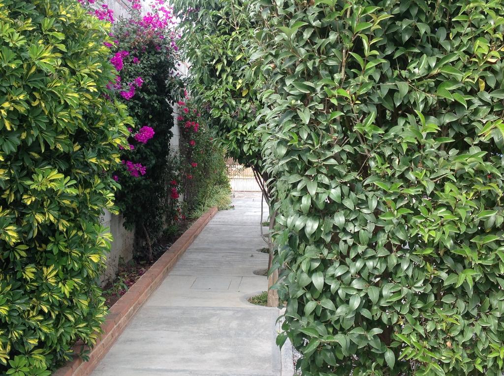 Hotel Villa Campestre Tequisquiapan Zewnętrze zdjęcie